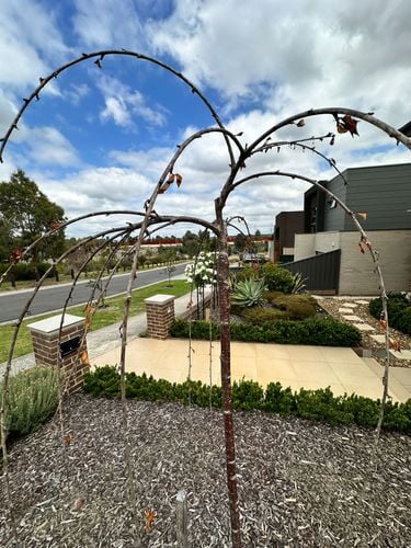 1000038530.jpg 1000038530.jpg