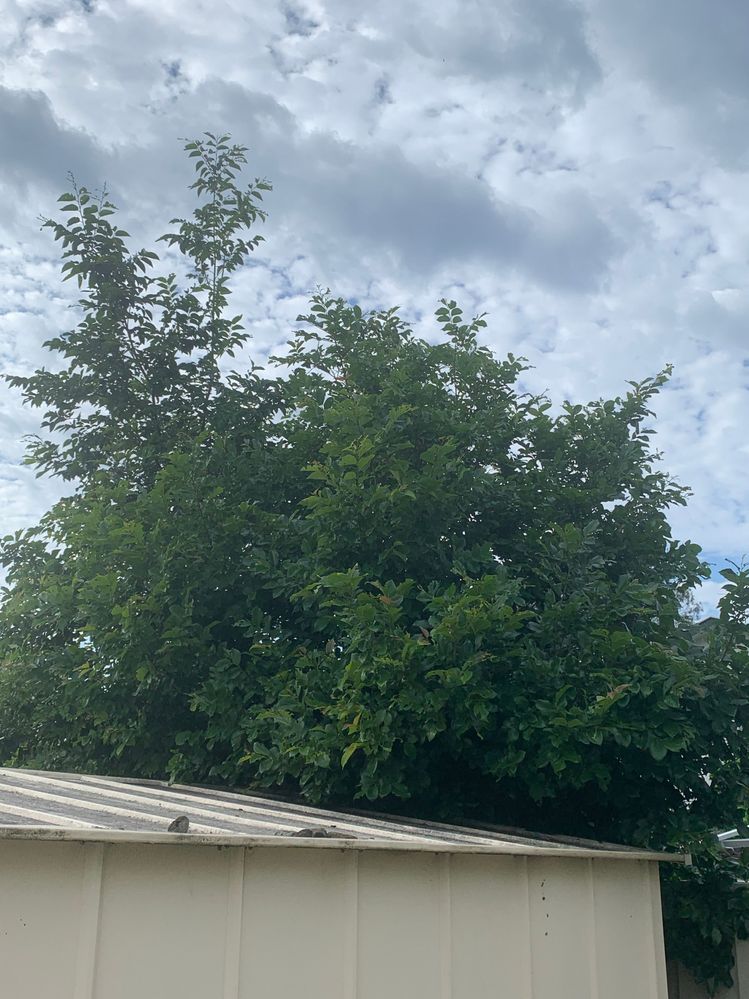 IMG_1449.jpg IMG_1449.jpg