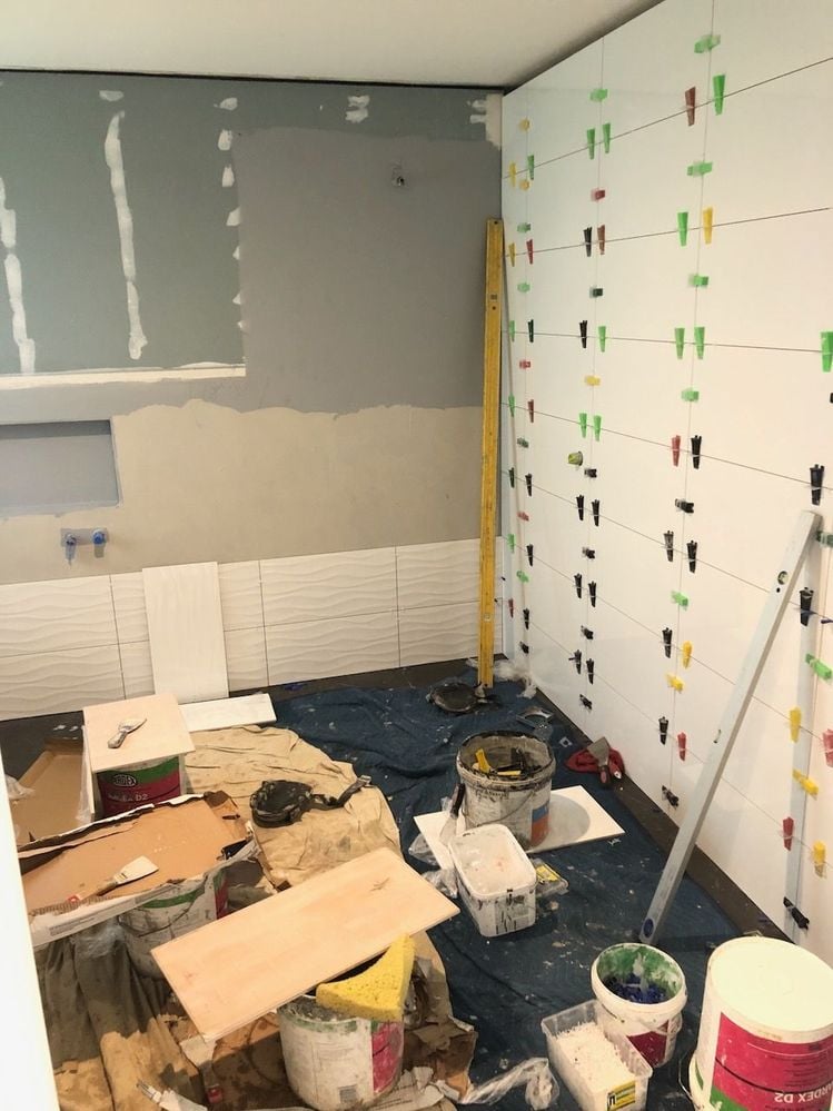 IMG_8954.jpeg IMG_8954.jpeg