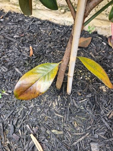 20251106_094336.jpg 20251106_094336.jpg