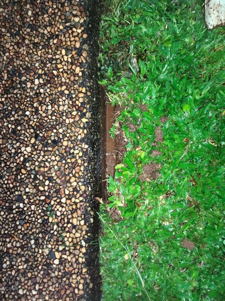 IMG20220225185010.jpg IMG20220225185010.jpg