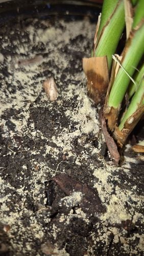 1000050148.jpg 1000050148.jpg