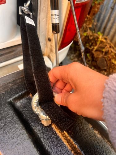 IMG_5009.jpeg IMG_5009.jpeg