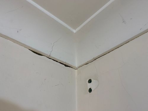 IMG_9594.jpeg IMG_9594.jpeg