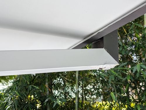 PXL_20240211_032138936.jpg PXL_20240211_032138936.jpg