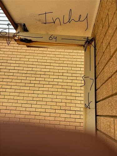 IMG_3868.jpeg IMG_3868.jpeg