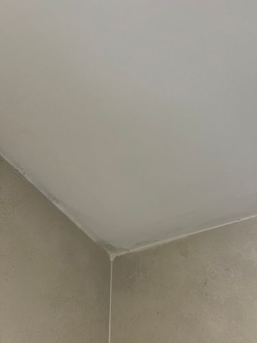 IMG_4860.jpeg IMG_4860.jpeg