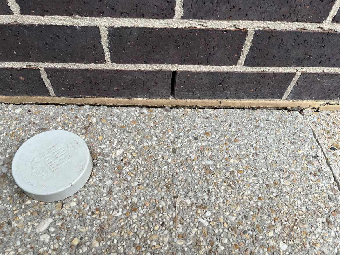 IMG_3662.jpg IMG_3662.jpg