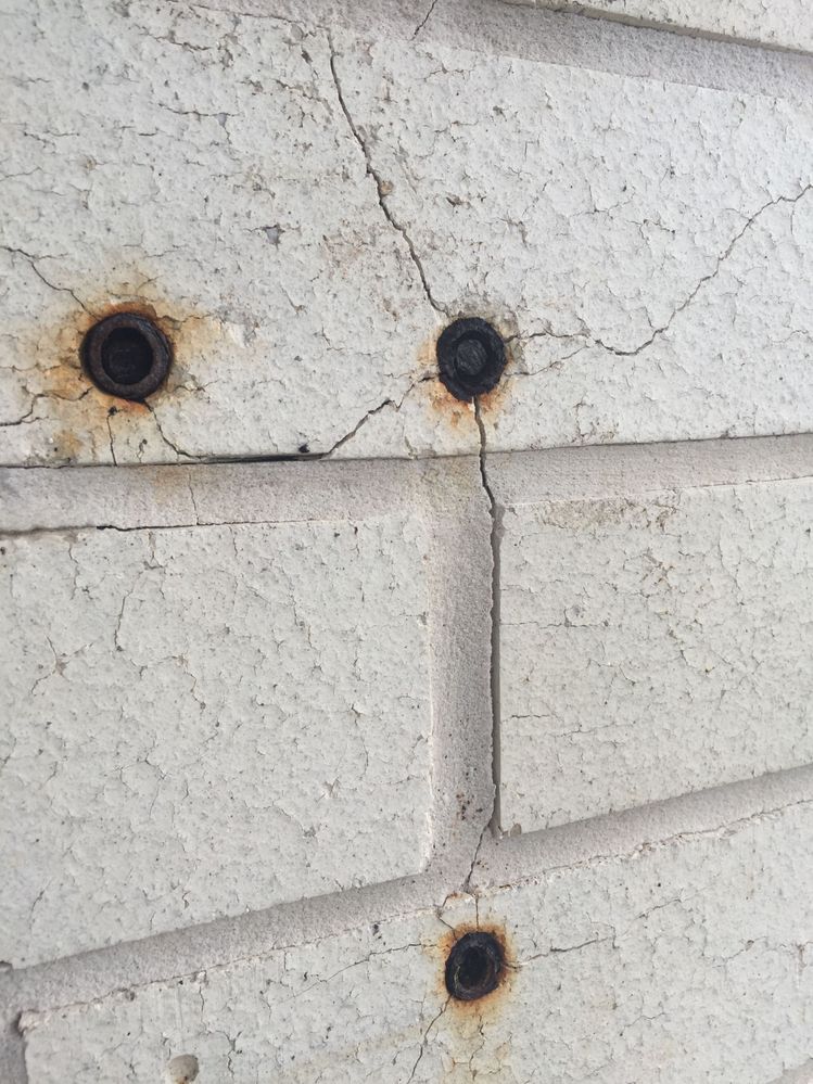 IMG_1302.JPG IMG_1302.JPG