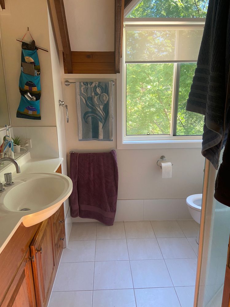 IMG_1905.JPG IMG_1905.JPG