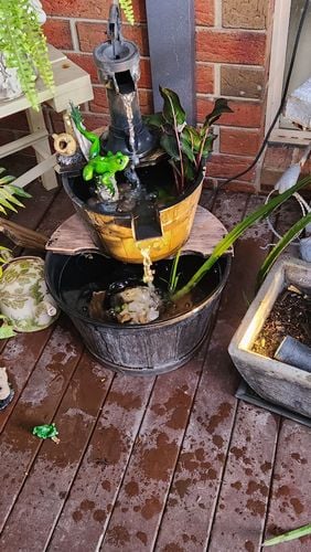 1000008979.jpg 1000008979.jpg