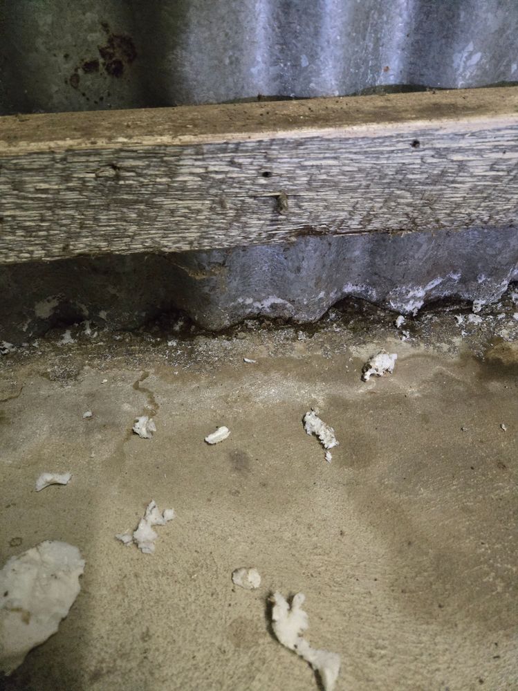 20250607_133107.jpg 20250607_133107.jpg