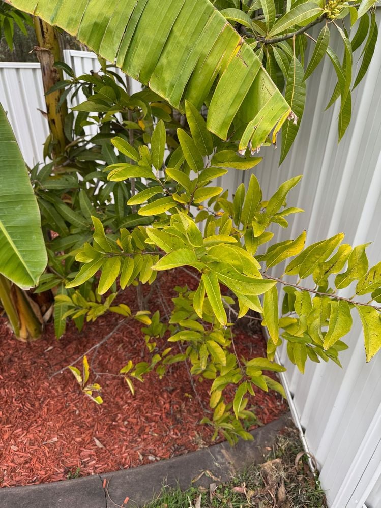 image1.jpeg image1.jpeg