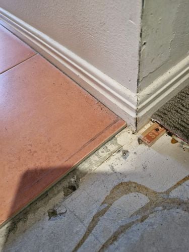 1000016601.jpg 1000016601.jpg