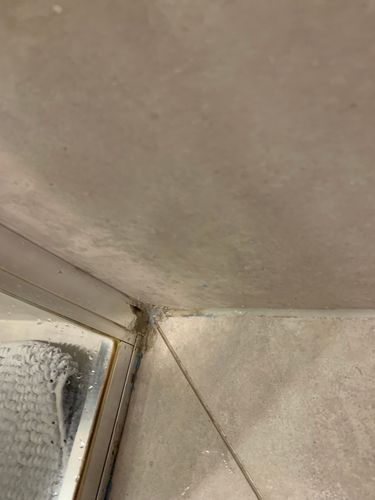 IMG_0118.jpeg IMG_0118.jpeg