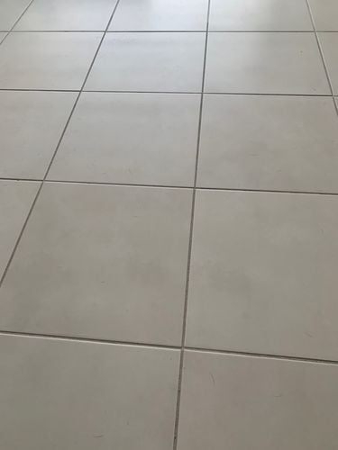 IMG_9717.jpeg IMG_9717.jpeg