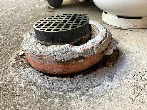 IMG_6354.jpeg IMG_6354.jpeg