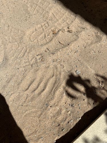 IMG_1994.jpeg IMG_1994.jpeg