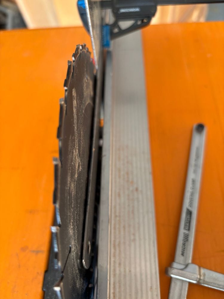 IMG_9042.jpeg IMG_9042.jpeg