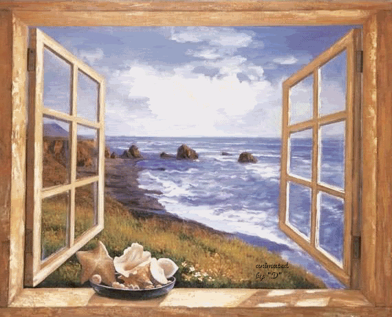 windowcean.gif windowcean.gif