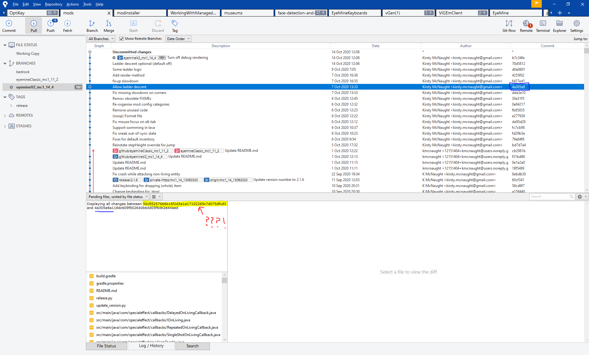 SourceTreeBorked.PNG SourceTreeBorked.PNG