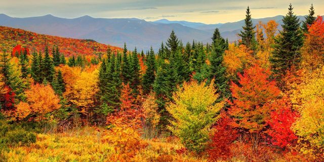 iStock-Fall-foliage-1.jpg iStock-Fall-foliage-1.jpg