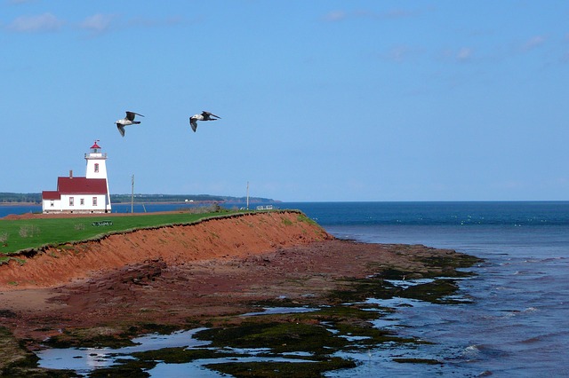 prince-edward-island-54990_640.jpg prince-edward-island-54990_640.jpg