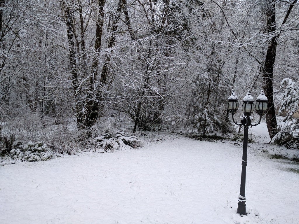 snow.jpg snow.jpg