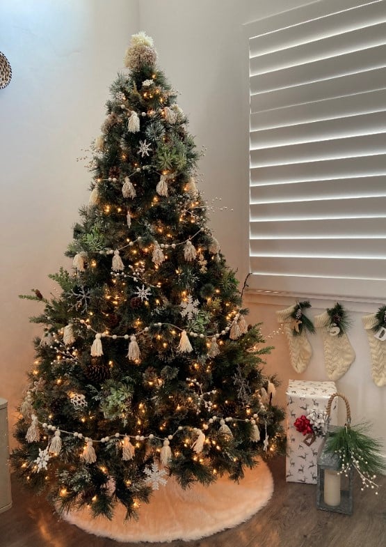 tree.jpg tree.jpg
