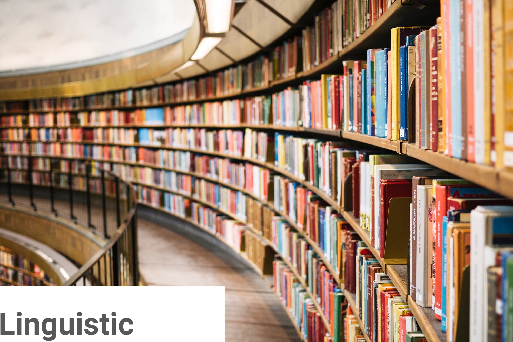 Linguistic-Bibliothek.jpg Linguistic-Bibliothek.jpg