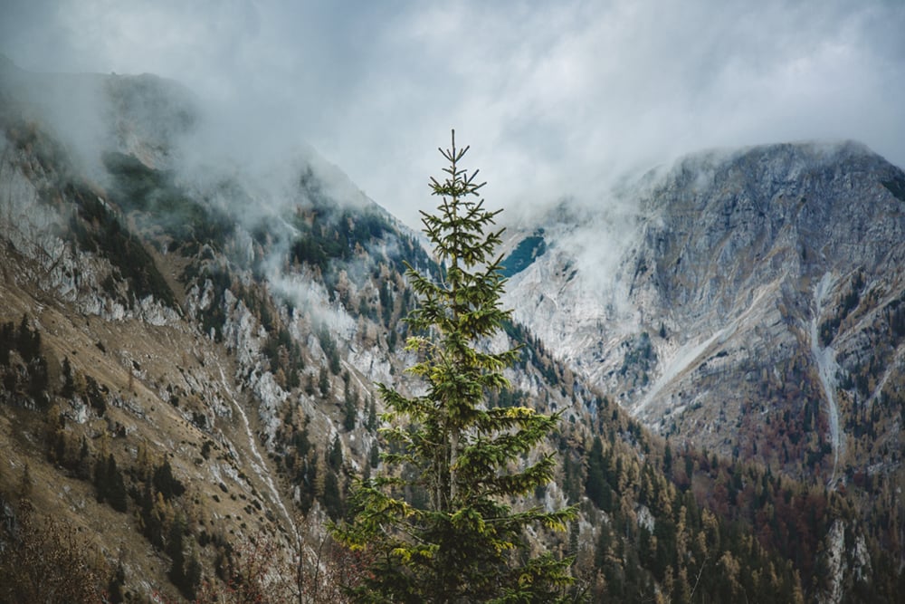 pexels-mareks-steins-3270225.jpg pexels-mareks-steins-3270225.jpg