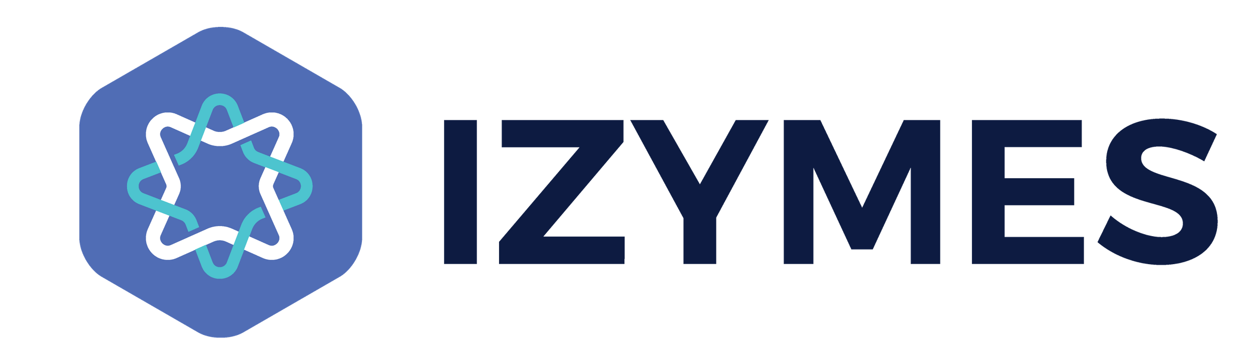izymes and logo in line.png izymes and logo in line.png