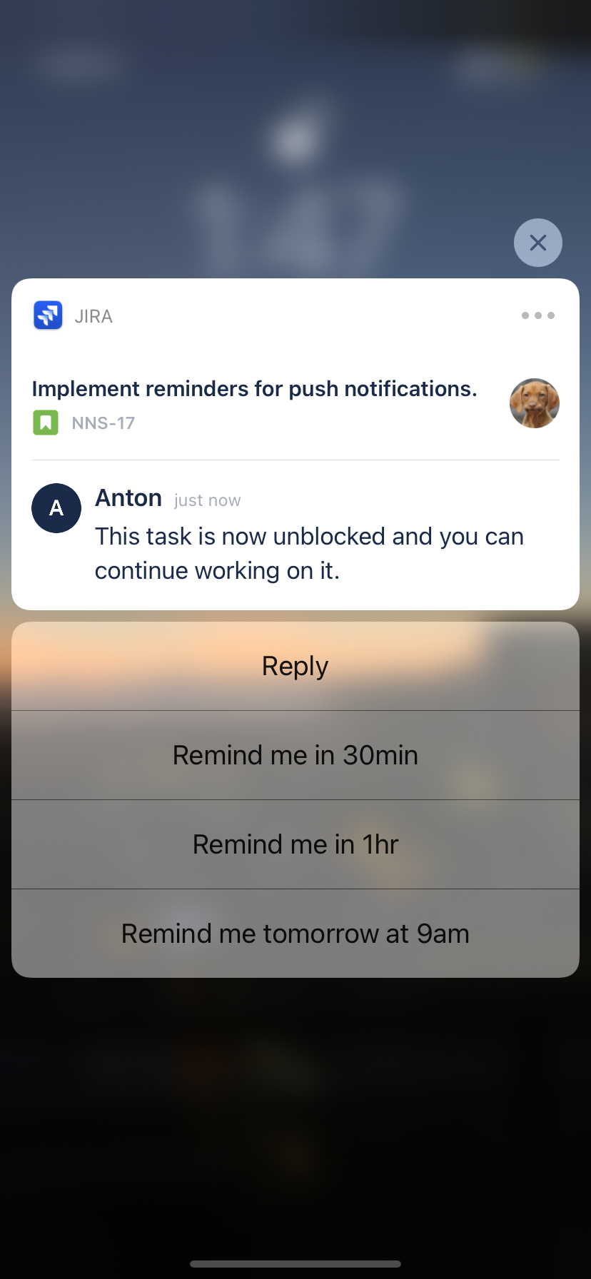 Image from iOS.png Image from iOS.png