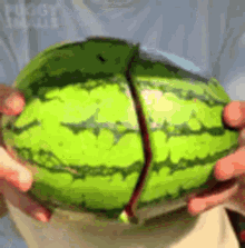 eb6a9a6b-2acf-408f-aa8b-a5ceb48f13f8.gif eb6a9a6b-2acf-408f-aa8b-a5ceb48f13f8.gif