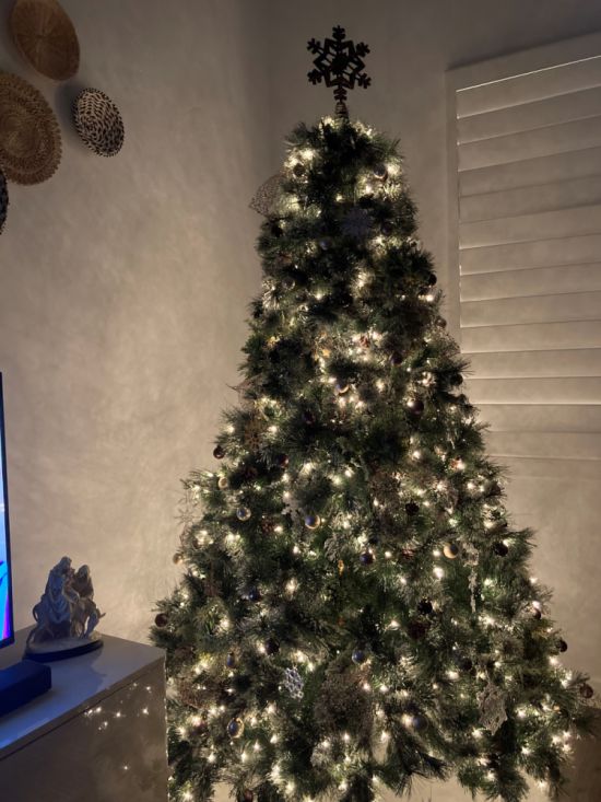 tree.jpg tree.jpg