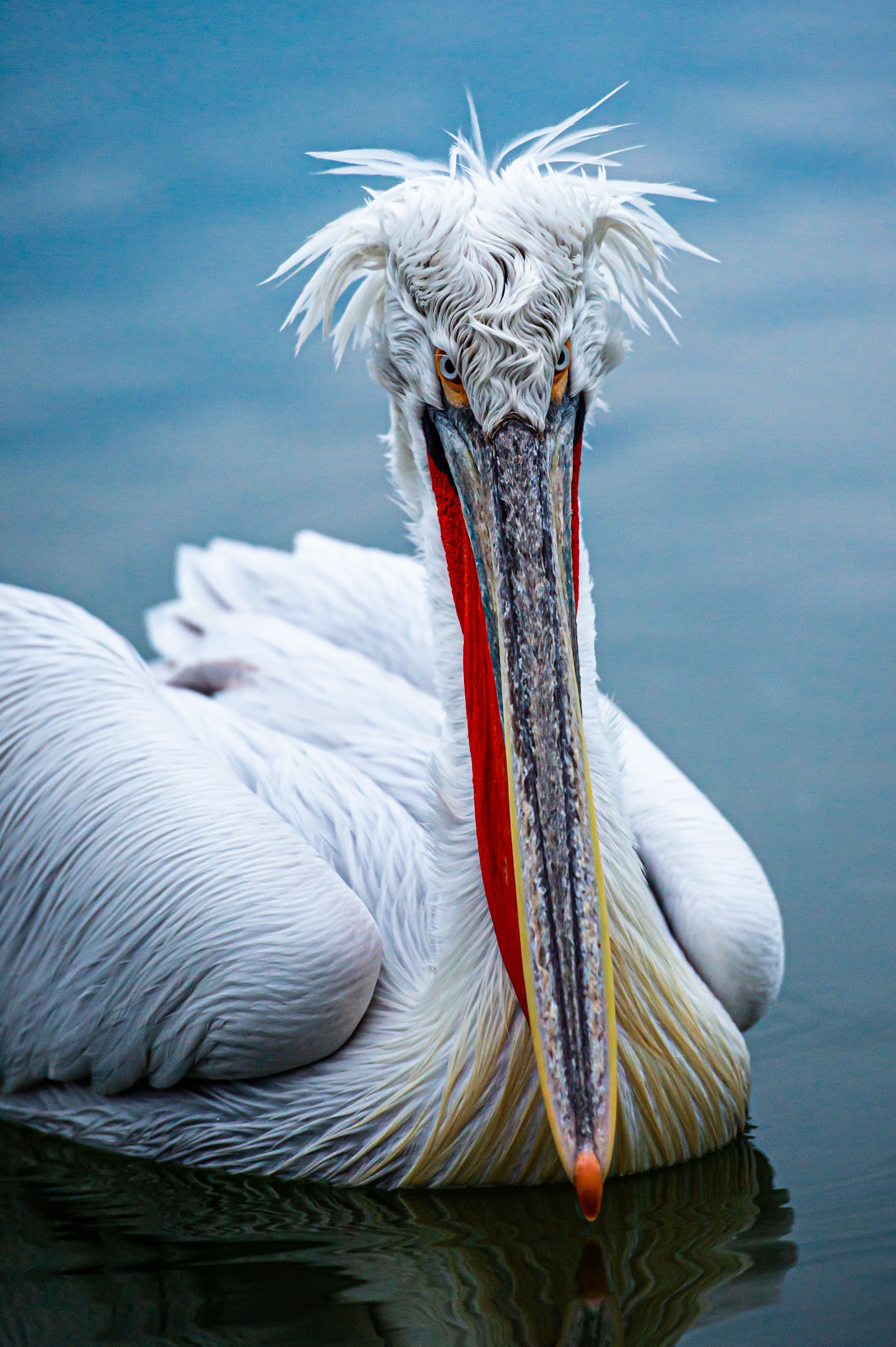 birger-strahl-Hbgxr3AeXWA-unsplash.jpg birger-strahl-Hbgxr3AeXWA-unsplash.jpg