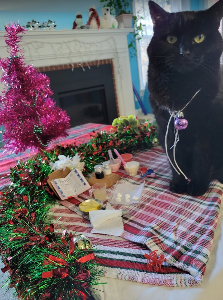 end cat (2).PNG end cat (2).PNG