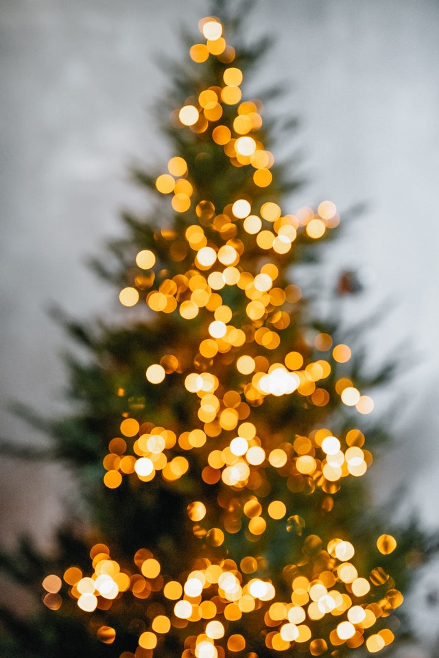 pexels-vladislav-murashko-6117267.jpg pexels-vladislav-murashko-6117267.jpg