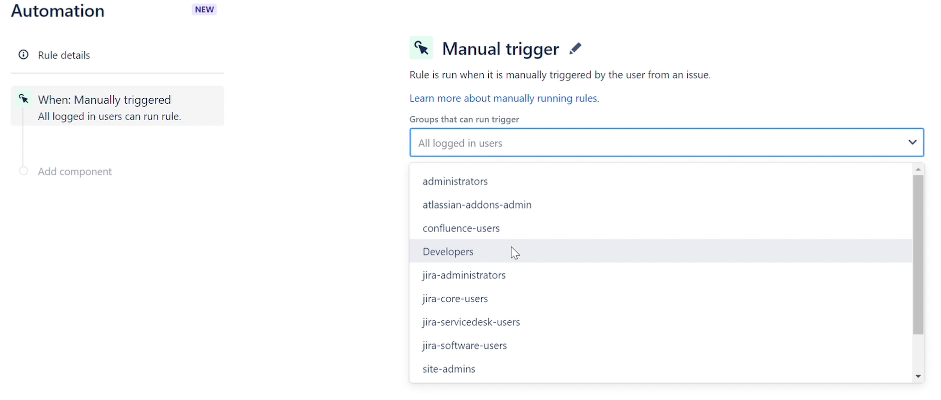Manual Trigger - Still Image.png Manual Trigger - Still Image.png