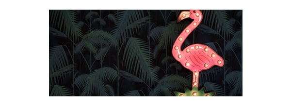 flamingo.jpg flamingo.jpg