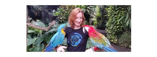 parot610.jpg parot610.jpg