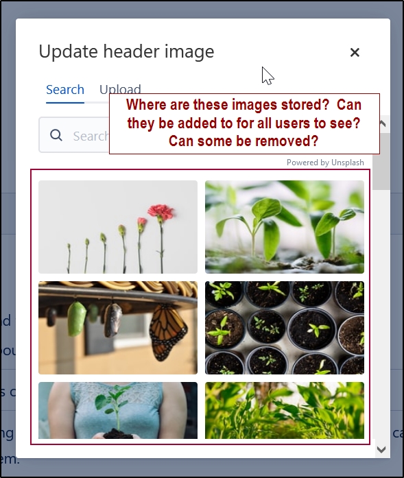 add-header-image-gallery.jpg add-header-image-gallery.jpg