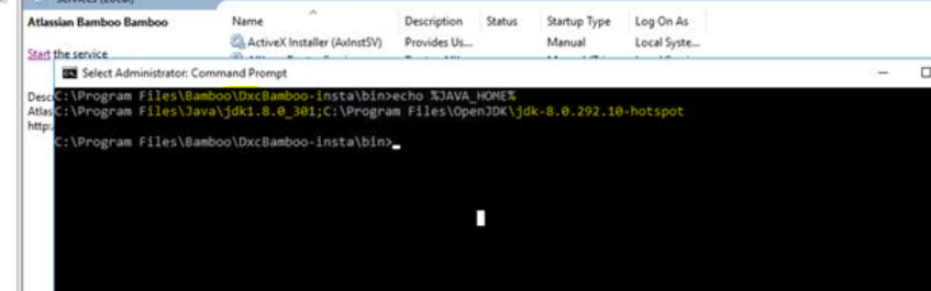 Two diff Java versions.PNG Two diff Java versions.PNG