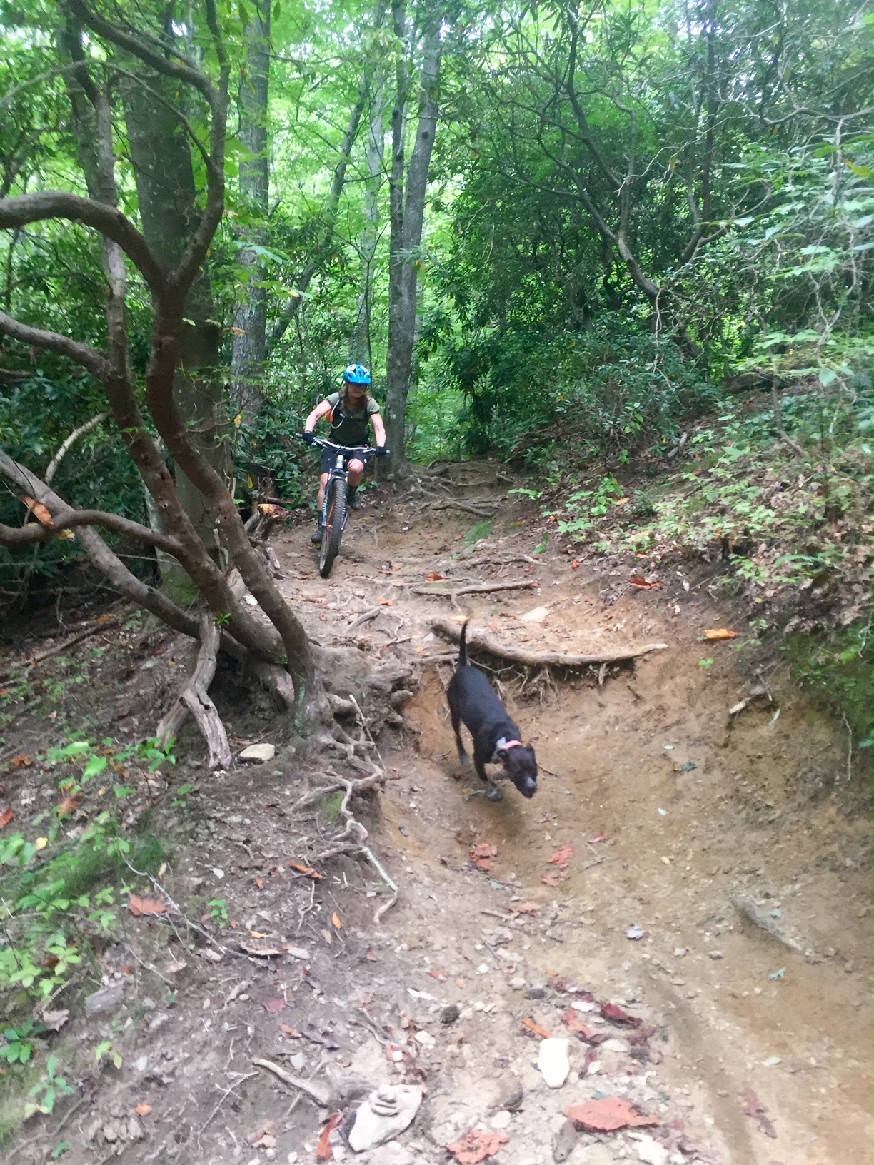 MountainBikewithDelilahDog.JPG MountainBikewithDelilahDog.JPG