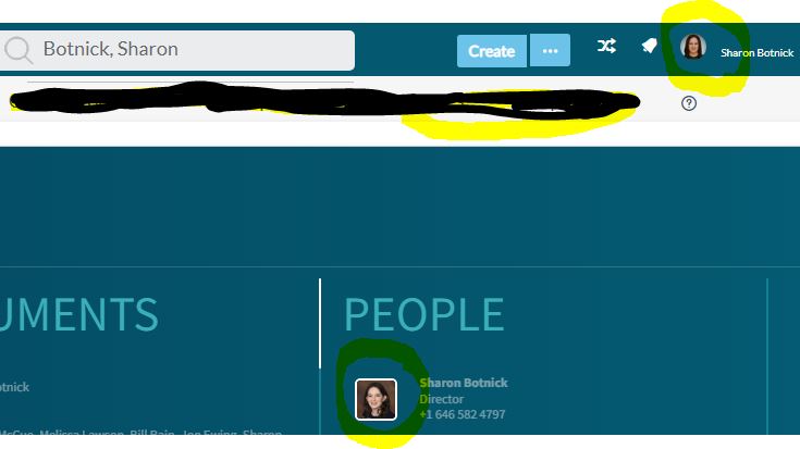 Confluence_Profiel_Pic_Issue.JPG Confluence_Profiel_Pic_Issue.JPG