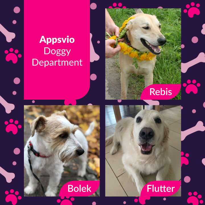 appsvio-doggy-department.png appsvio-doggy-department.png