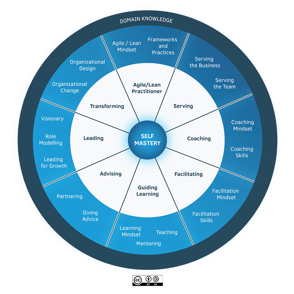 Agile Coaching_9 skills.jpg Agile Coaching_9 skills.jpg