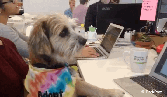 giphy(54).gif giphy(54).gif