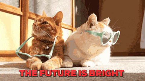 giphy 11.gif giphy 11.gif
