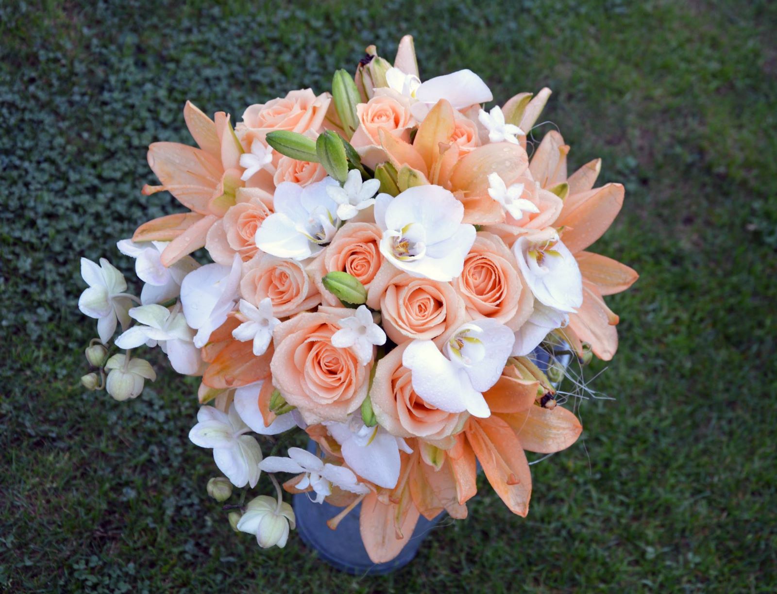 flower.jpeg flower.jpeg